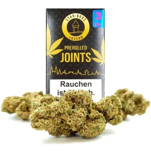 Harlequin Pre rolls