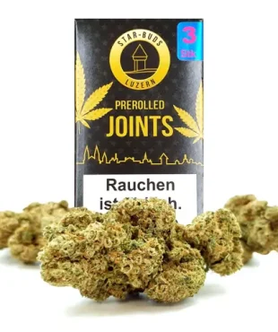 Harlequin Pre rolls