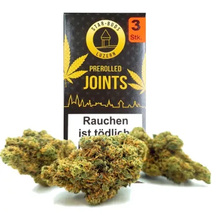 Mango Haze Pre rolls