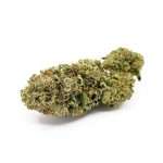 High Level Genetics Seeds Shiny Flake 3pcs