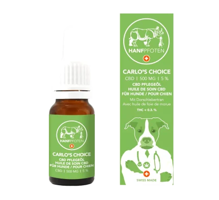 Hanfpfoten Dogs Carlo’s Choice