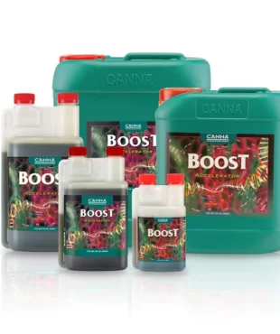 Canna Boost Accelerator