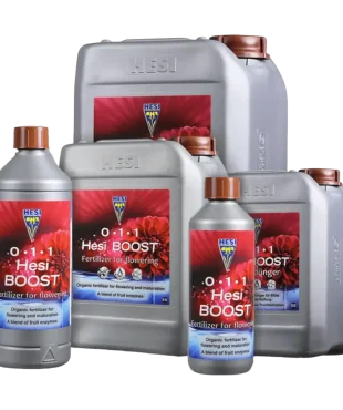 HESI Boost