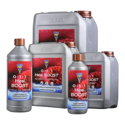 HESI Boost