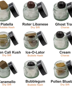 Hash Test Set Gross