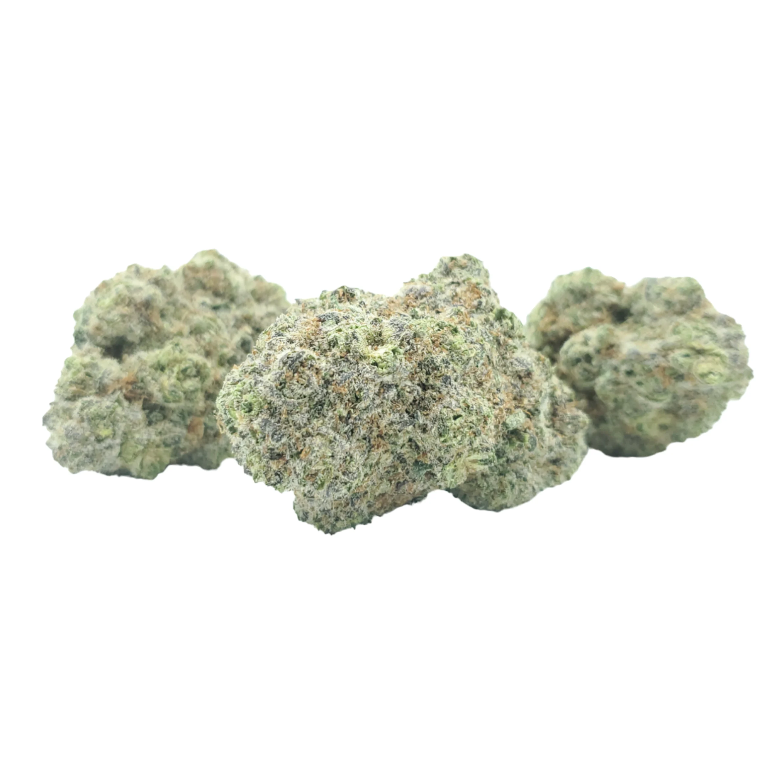 Critical Blüten