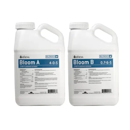 Athena Blended Line Bloom A&B