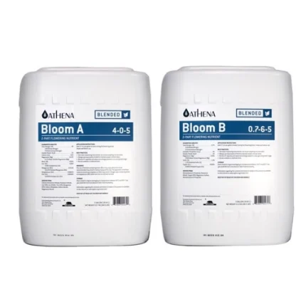 Athena Blended Line Bloom A&B