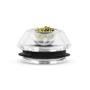 Proxy - Flower Bowl - Glaseinsatz für Kräuter