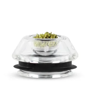 Proxy - Flower Bowl - Glaseinsatz für Kräuter